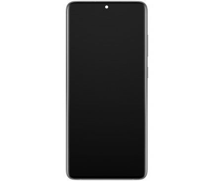 LCD Display Module for Samsung Galaxy S20 Ultra 5G G988 / S20 Ultra G988, w/o Camera, Grey