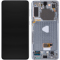 LCD Display Module for Samsung Galaxy S21+ 5G G996, Silver